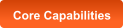 Core Capabilities