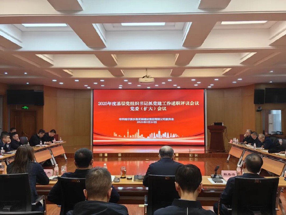 beats365召开2025年度基层党组织书记抓党建工作述职评议会议
